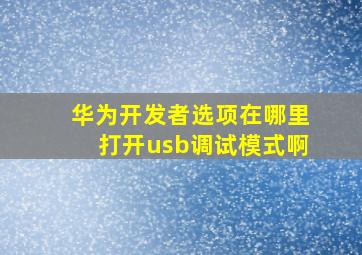 华为开发者选项在哪里打开usb调试模式啊