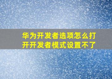 华为开发者选项怎么打开开发者模式设置不了