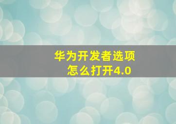 华为开发者选项怎么打开4.0