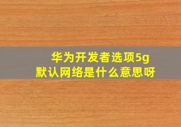 华为开发者选项5g默认网络是什么意思呀