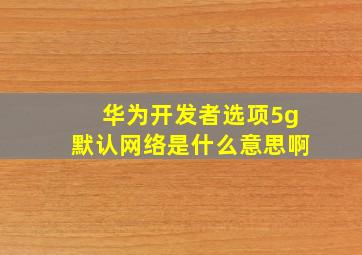 华为开发者选项5g默认网络是什么意思啊