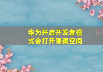 华为开启开发者模式会打开隐藏空间