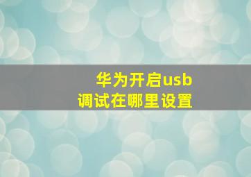 华为开启usb调试在哪里设置