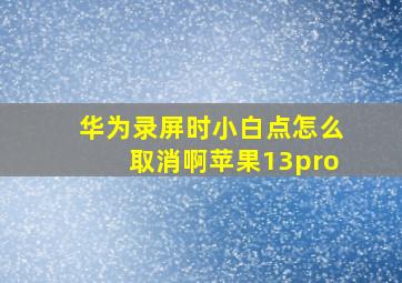 华为录屏时小白点怎么取消啊苹果13pro