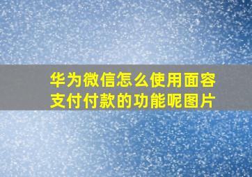 华为微信怎么使用面容支付付款的功能呢图片