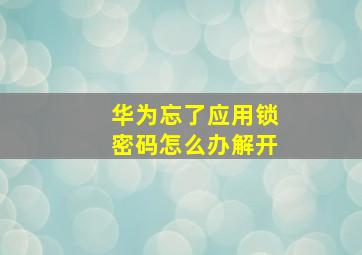 华为忘了应用锁密码怎么办解开