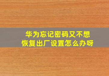 华为忘记密码又不想恢复出厂设置怎么办呀