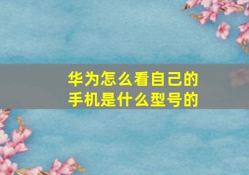 华为怎么看自己的手机是什么型号的