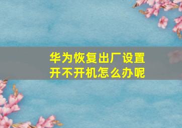 华为恢复出厂设置开不开机怎么办呢