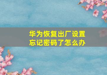 华为恢复出厂设置忘记密码了怎么办