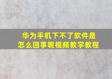 华为手机下不了软件是怎么回事呢视频教学教程