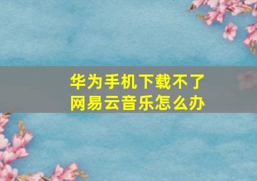 华为手机下载不了网易云音乐怎么办