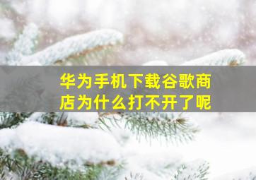 华为手机下载谷歌商店为什么打不开了呢