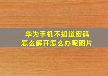 华为手机不知道密码怎么解开怎么办呢图片