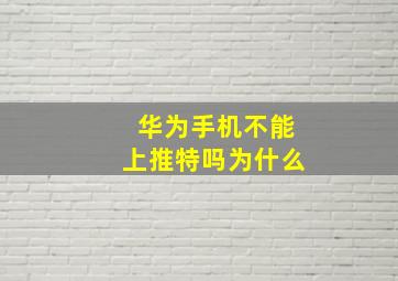 华为手机不能上推特吗为什么