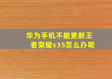 华为手机不能更新王者荣耀s35怎么办呢