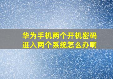 华为手机两个开机密码进入两个系统怎么办啊