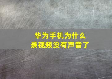 华为手机为什么录视频没有声音了