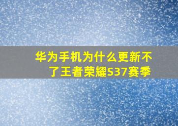 华为手机为什么更新不了王者荣耀S37赛季