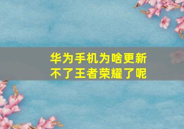 华为手机为啥更新不了王者荣耀了呢