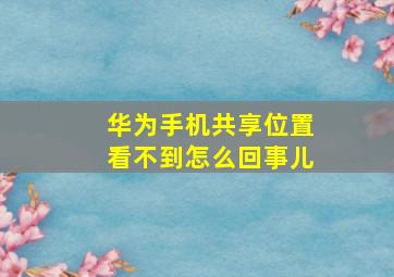 华为手机共享位置看不到怎么回事儿