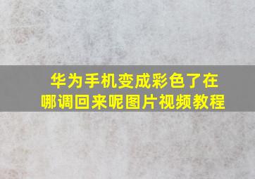 华为手机变成彩色了在哪调回来呢图片视频教程