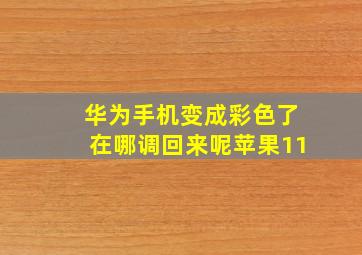 华为手机变成彩色了在哪调回来呢苹果11