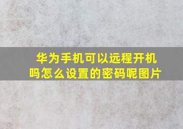 华为手机可以远程开机吗怎么设置的密码呢图片