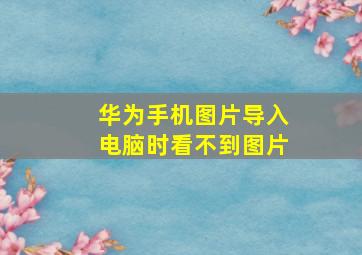 华为手机图片导入电脑时看不到图片