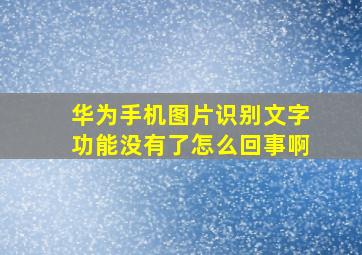 华为手机图片识别文字功能没有了怎么回事啊