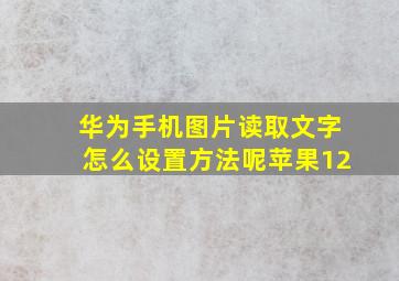 华为手机图片读取文字怎么设置方法呢苹果12