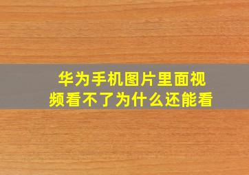 华为手机图片里面视频看不了为什么还能看