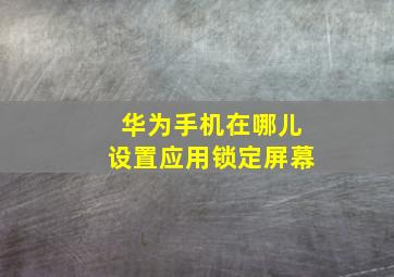 华为手机在哪儿设置应用锁定屏幕