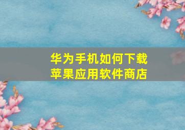 华为手机如何下载苹果应用软件商店