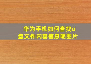 华为手机如何查找u盘文件内容信息呢图片