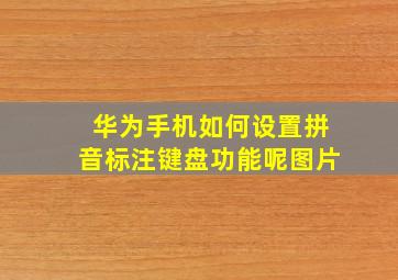 华为手机如何设置拼音标注键盘功能呢图片