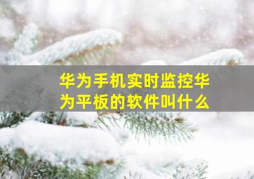 华为手机实时监控华为平板的软件叫什么