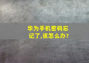 华为手机密码忘记了,该怎么办?