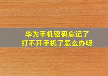 华为手机密码忘记了打不开手机了怎么办呀