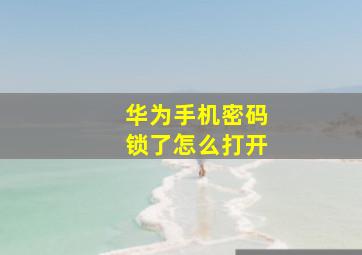 华为手机密码锁了怎么打开