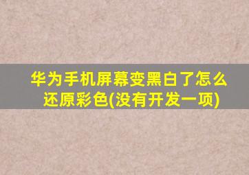 华为手机屏幕变黑白了怎么还原彩色(没有开发一项)