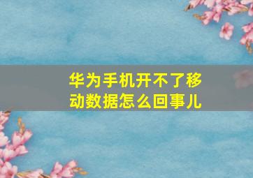 华为手机开不了移动数据怎么回事儿