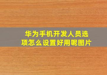 华为手机开发人员选项怎么设置好用呢图片