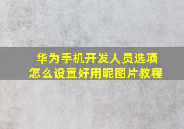 华为手机开发人员选项怎么设置好用呢图片教程