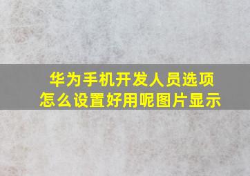 华为手机开发人员选项怎么设置好用呢图片显示