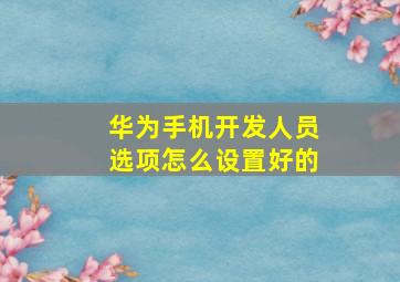 华为手机开发人员选项怎么设置好的