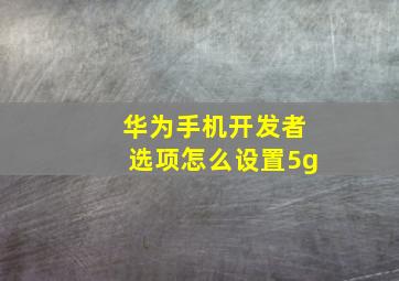 华为手机开发者选项怎么设置5g