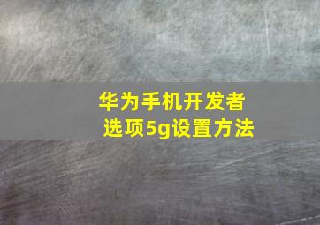 华为手机开发者选项5g设置方法