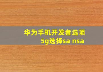 华为手机开发者选项5g选择sa+nsa