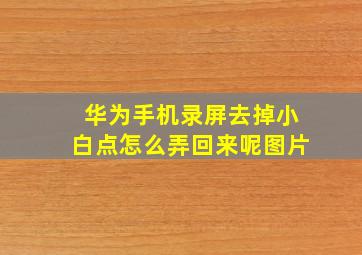 华为手机录屏去掉小白点怎么弄回来呢图片